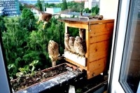 /album/a21-6-2013/uz-frcim-jpg1/